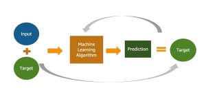 Custom machine learning model training epoch for Amazon Marketing Cloud predictive bidding